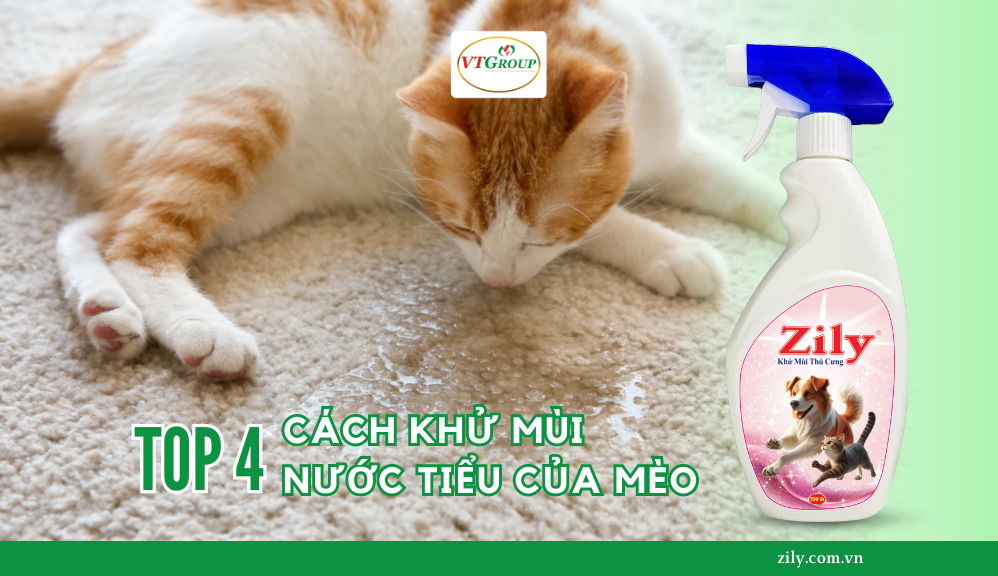 Mách Bạn Top 4 Cách Khử Mùi Nước Tiểu Mèo Siêu Hiệu Quả