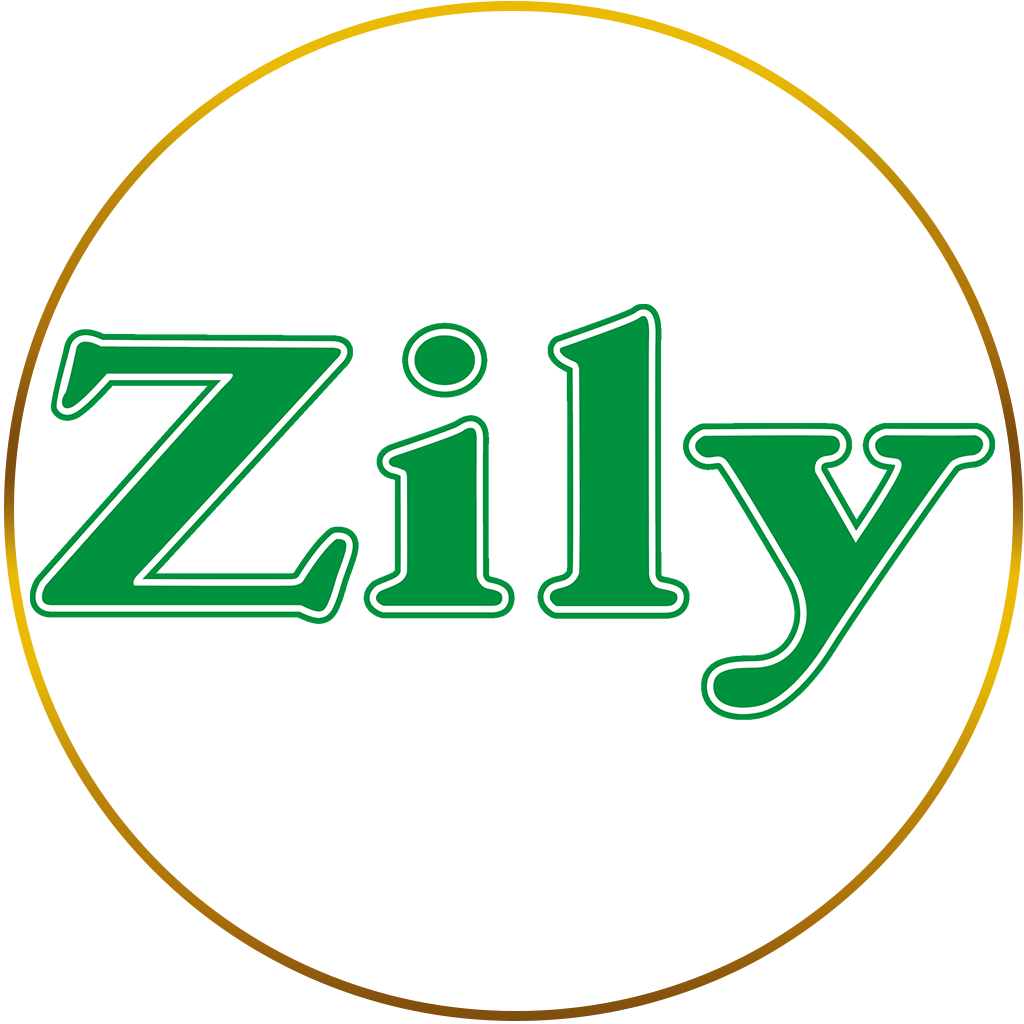zily.com.vn