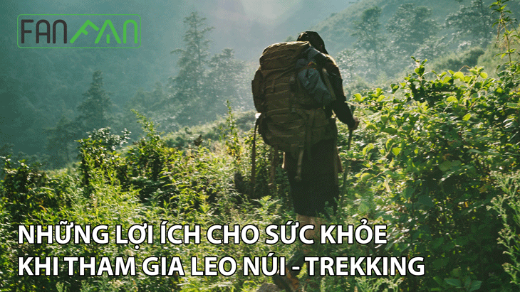 Những lợi ích của việc đi leo núi, trekking đối với sức khỏe