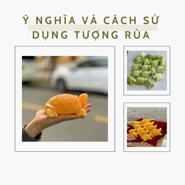 Rùa Phong Thủy - Ý Nghĩa và Cách Sử Dụng Tượng Rùa