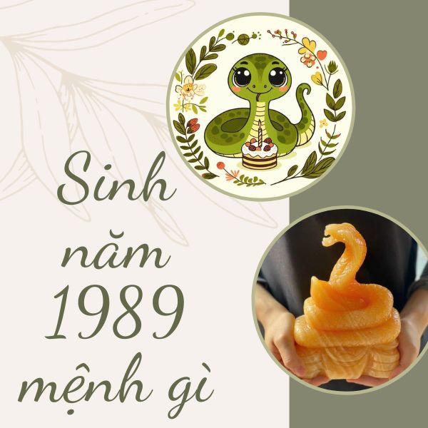 Sinh năm 1989 mệnh gì? Tìm hiểu về Tuổi Kỷ Tỵ