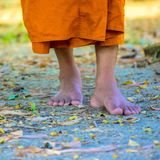 Thiền Hành Là Gì? Hướng Dẫn Thực Hành Thiền Hành Đúng Cách