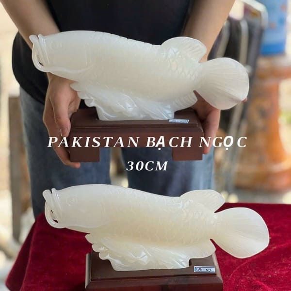 Cá chép rồng Bạch ngọc dài 30cm