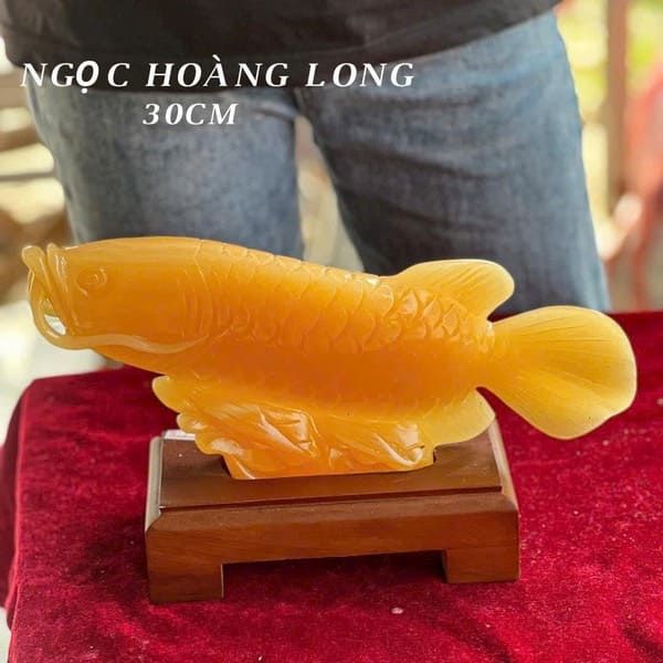 Cá chép rồng ngọc Hoàng long dài 30cm