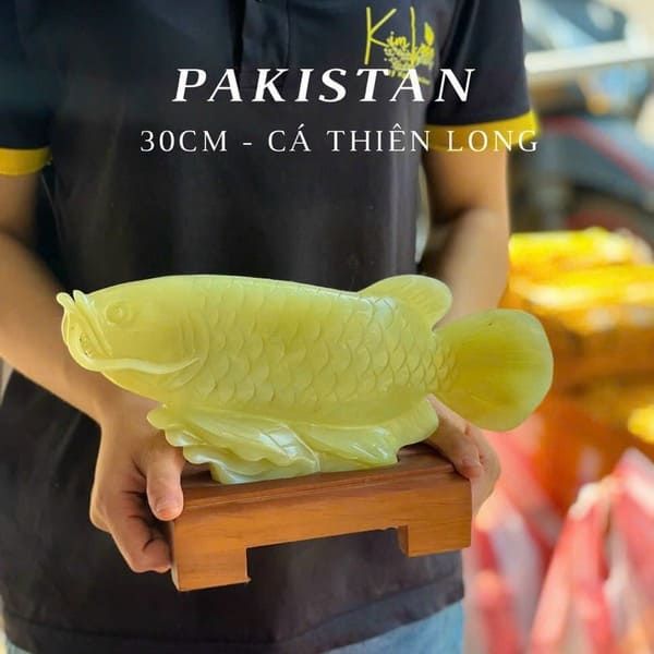 Cá chép rồng Pakistan dài 30cm