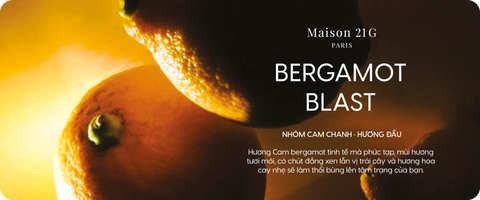 Bergamot Blast | Cam Bergamot