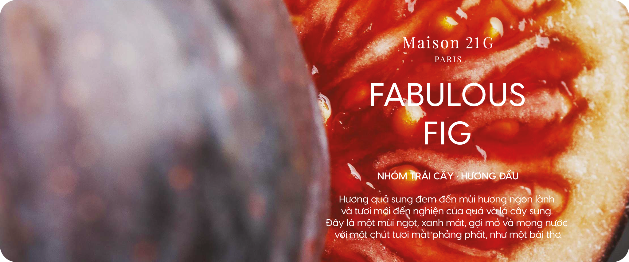 Fabulous Fig | Quả sung