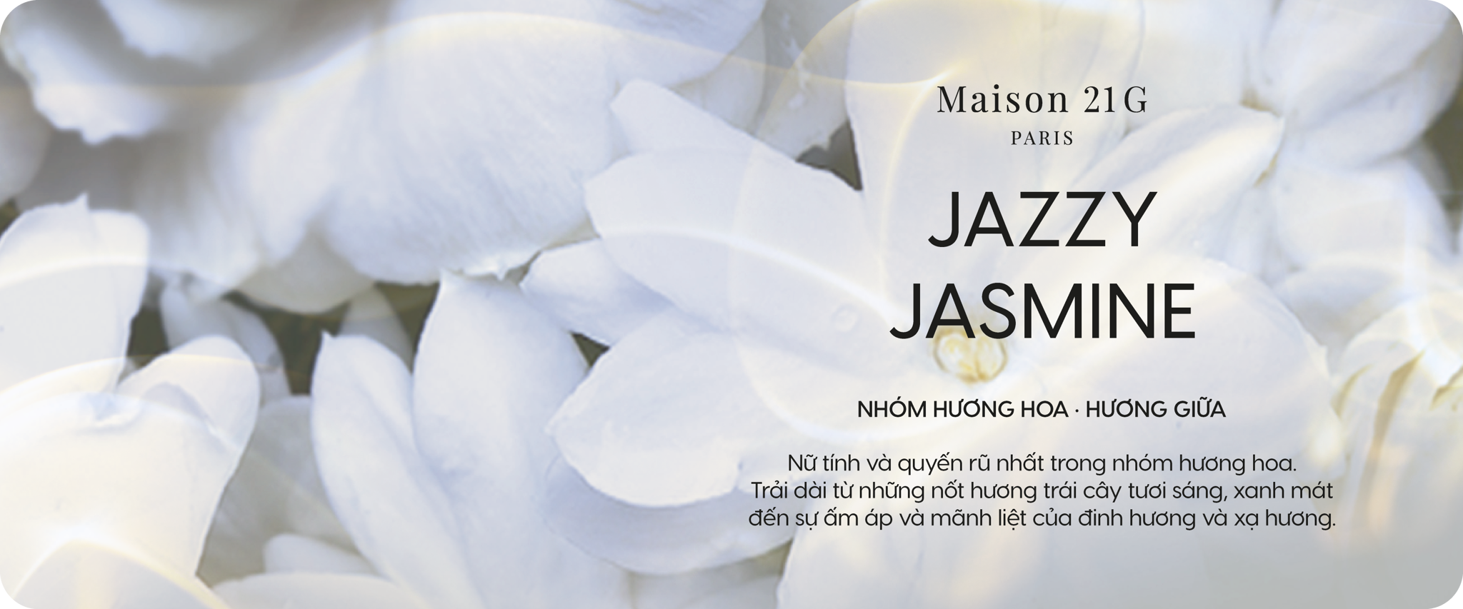 Jazzy Jasmine | Hoa lài