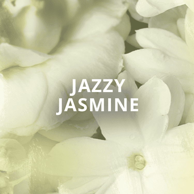 Jazzy Jasmine Hoa lài Maison 21G Vietnam