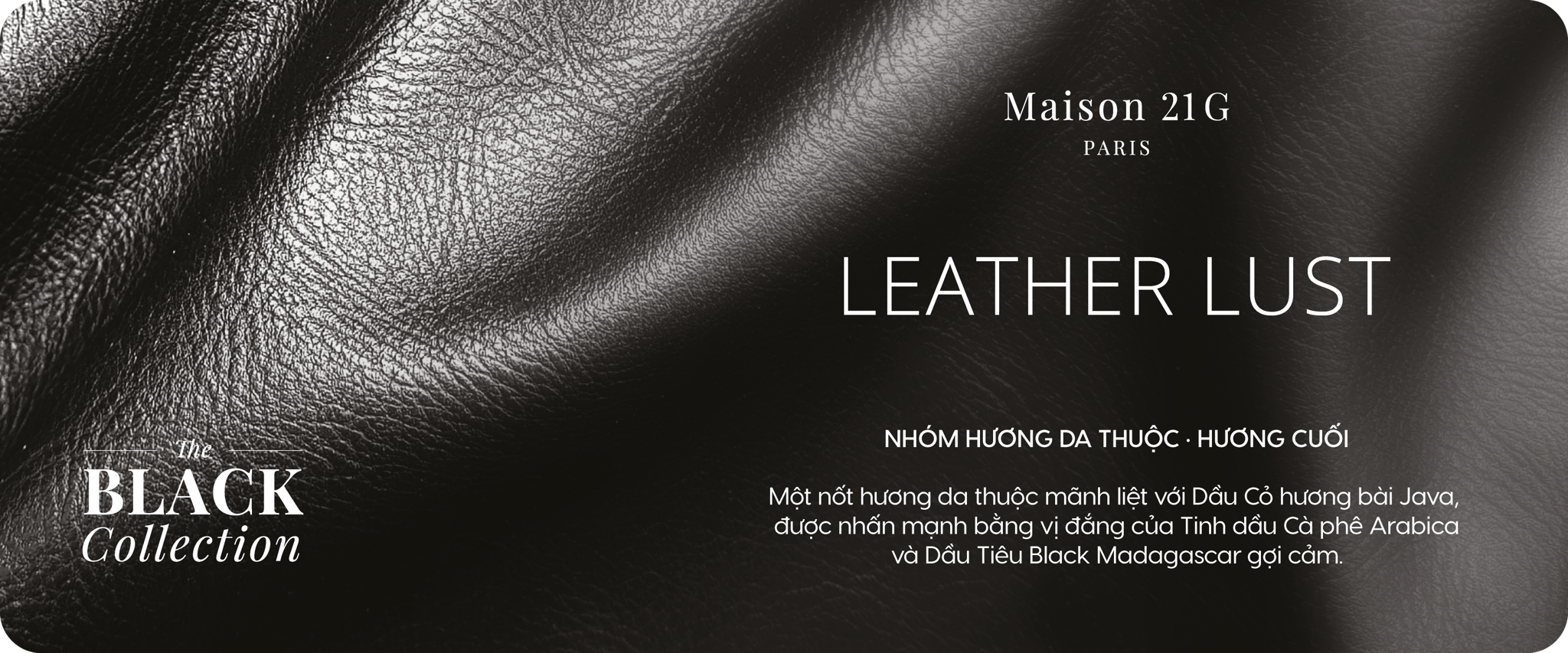 Leather Lust | Black Collection