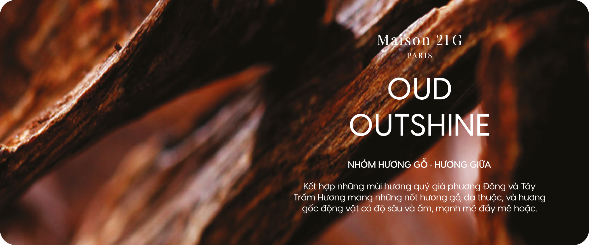 Oud Outshine - Trầm hương