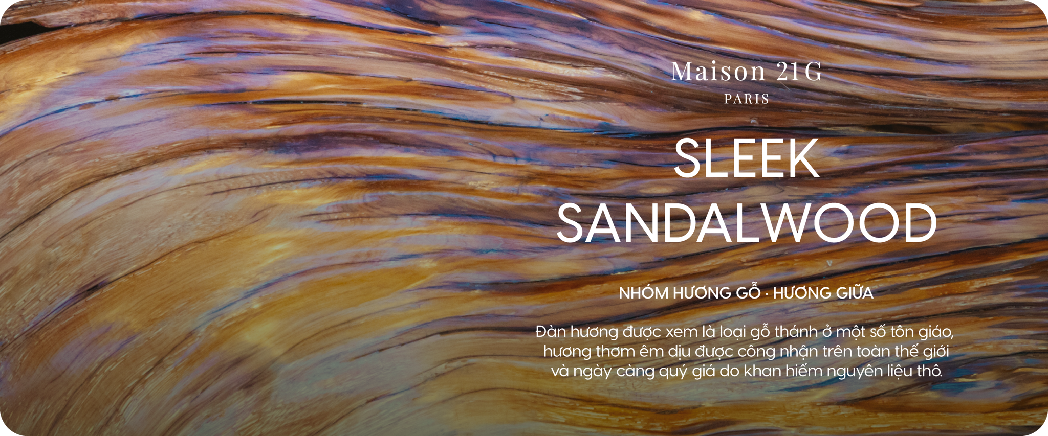 Sleek Sandalwood - Gỗ đàn hương