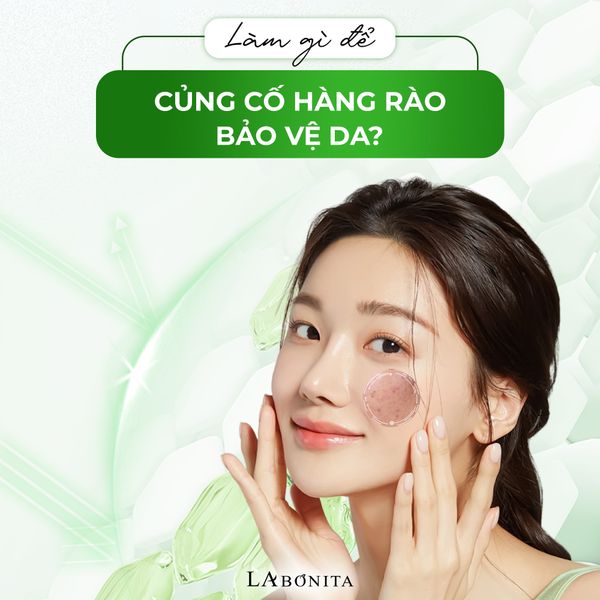LÀM GÌ ĐỂ CỦNG CỐ HÀNG RÀO BẢO VỆ DA?