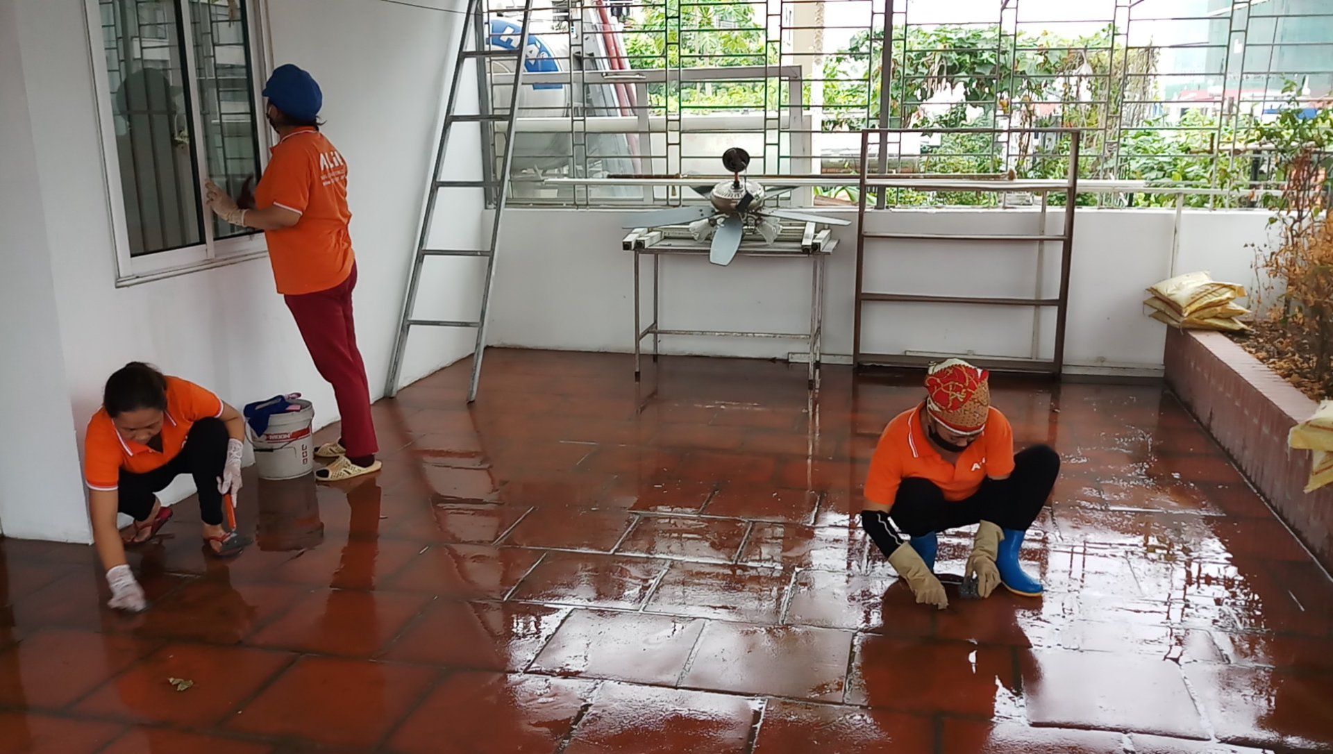 VỆ SINH ĐỊNH KỲ