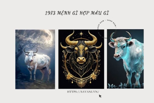 1973 Mạng Nam: Sự Kiện Lịch Sử Quan Trọng và Tác Động Đến Việt Nam