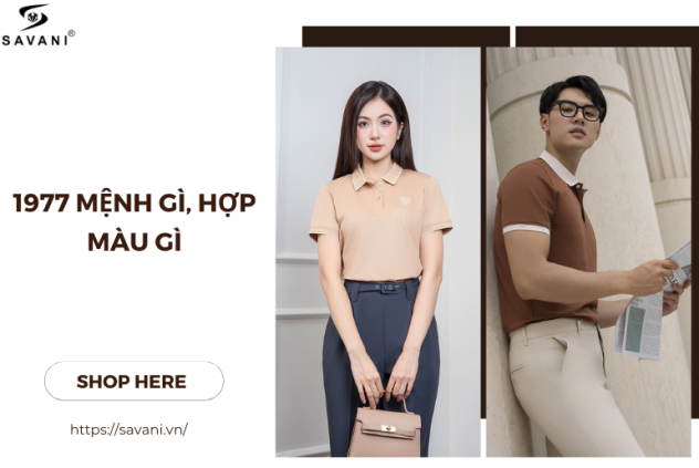 1977 mệnh gì hợp màu gì? Thông tin chi tiết nhất về tuổi Đinh Tỵ 1977