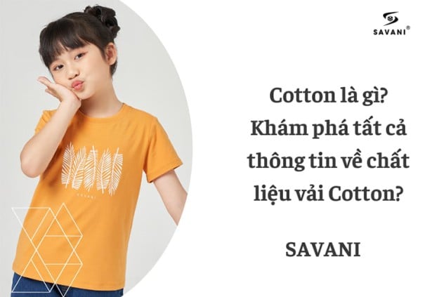 Vải Cotton là gì? Khám phá chi tiết thông tin về chất liệu vải Cotton - SAVANI