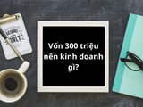 Vốn 300 triệu nên kinh doanh gì? 12 ý tưởng khác biệt, lãi cao