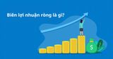 Biên lợi nhuận ròng là gì? Ý nghĩa, công thức và lưu ý