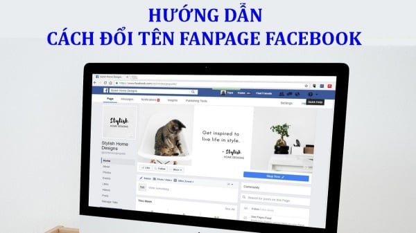 Cách đổi tên fanpage Facebook trên điện thoại, máy tính chỉ 60s