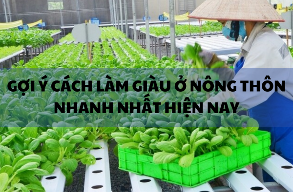 Kinh Doanh Online