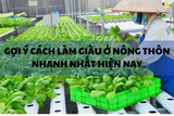 20+ cách làm giàu ở nông thôn vốn ít, hiệu quả nhất năm 2025