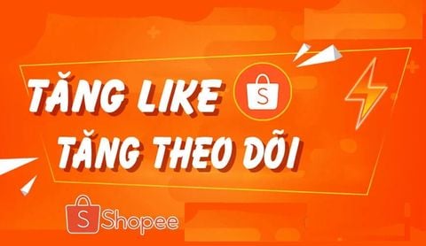 Dịch Vụ Hỗ Trợ Lên Shopee Mall Chuyên Nghiệp & Tối Ưu Hiệu Quả