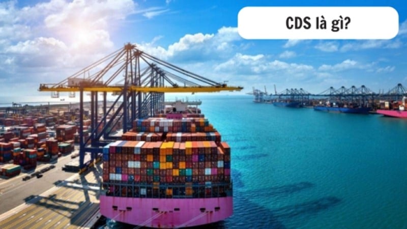 CDS là gì trong xuất nhập khẩu? Vai trò và ứng dụng thực tế