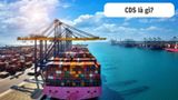 CDS là gì trong xuất nhập khẩu? Vai trò và ứng dụng thực tế