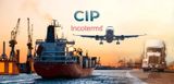 CIP là gì? Tìm hiểu điều kiện CIP và các lưu ý cần biết