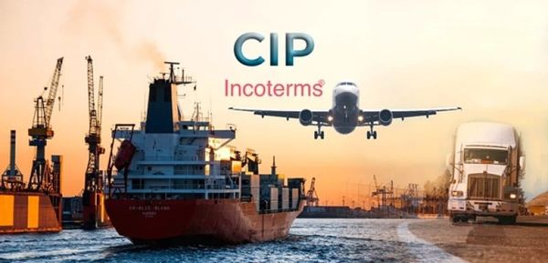CIP là gì? Tìm hiểu điều kiện CIP và các lưu ý cần biết