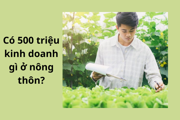 Có 500 triệu kinh doanh gì ở nông thôn hút khách, lời nhiều?