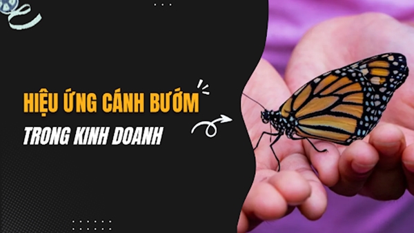 Hiệu ứng cánh bướm là gì? Cách áp dụng thành công cho shop