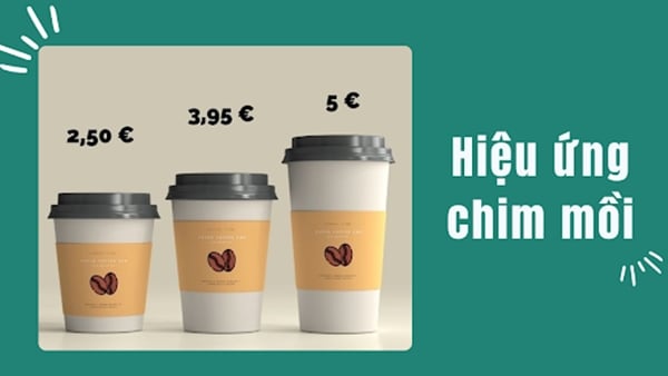 Hiệu ứng chim mồi là gì và cách ứng dụng khi bán hàng online