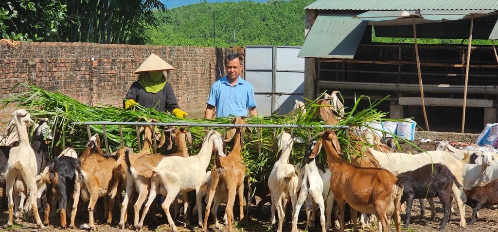 20+ mặt hàng dễ kinh doanh ở nông thôn nhất trong năm 2025