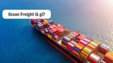 Ocean Freight là gì? Thông tin và cách tính phí chi tiết