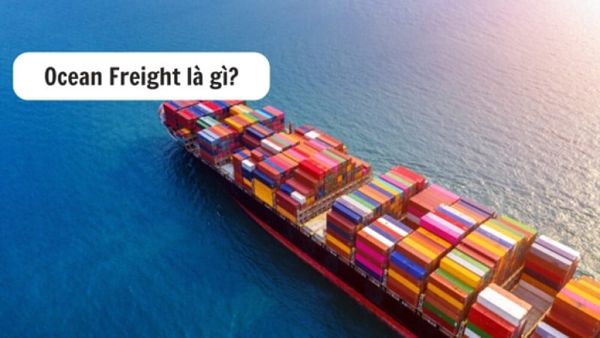 Ocean Freight là gì? Thông tin và cách tính phí chi tiết