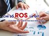 ROS là gì? Ý nghĩa và công thức tính ROS cho các shop mới