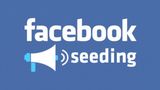 Seeding Facebook là gì? Cách Seeding hiệu quả trên Facebook