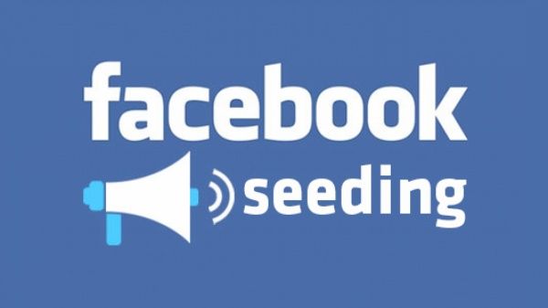 Seeding Facebook là gì? Cách Seeding hiệu quả trên Facebook