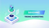 Seeding là gì? Cách triển khai hiệu quả, shop chốt đơn liên tục