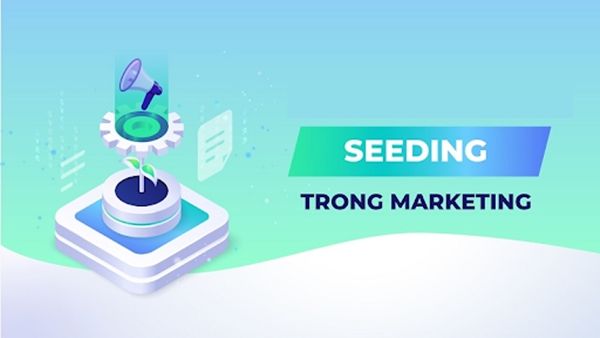 Seeding là gì? Cách triển khai hiệu quả, shop chốt đơn liên tục