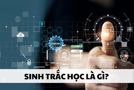 Sinh trắc học là gì? Thông tin chi tiết & các ứng dụng quan trọng