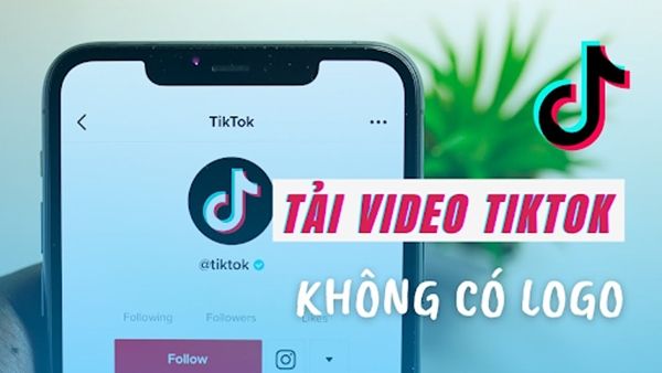 Hướng dẫn shop cách tải video TikTok không logo nhanh, dễ thực hiện