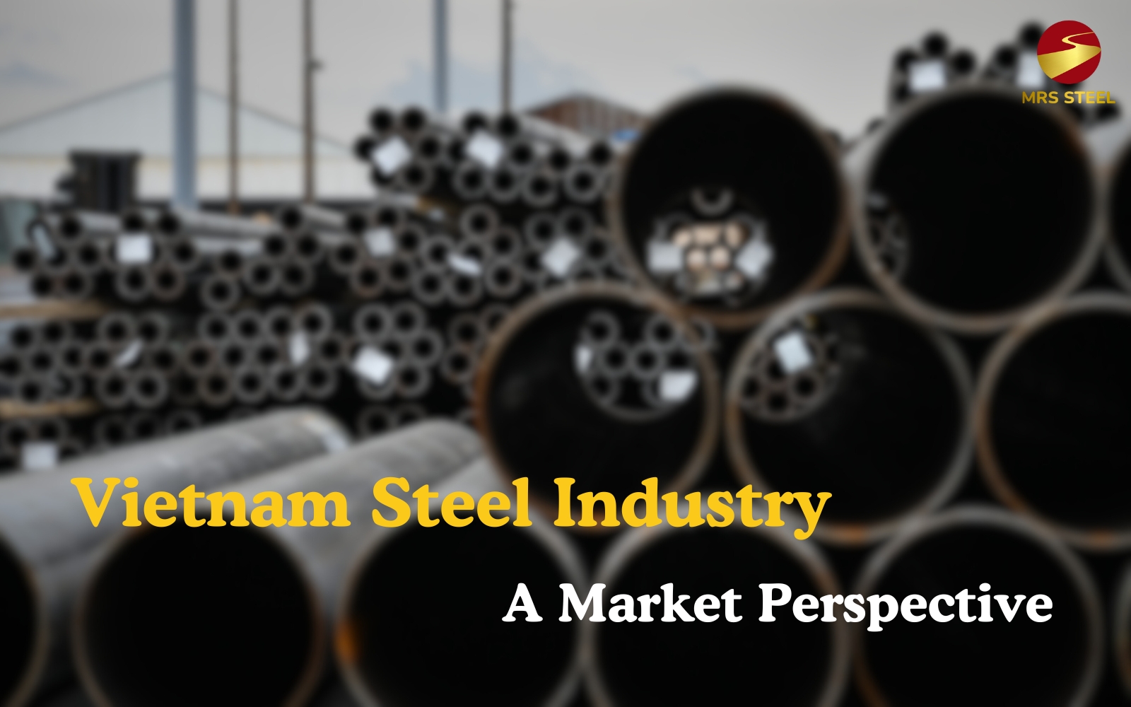 Vietnam Steel Industry: A Market Perspective
