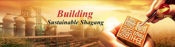 Shagang Group, with a 41.45 million ton output, upholds global standards amidst market challenges, securing its place as a top steel producer
