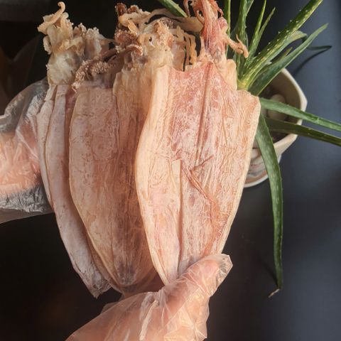 Cùng tìm hiểu: giá mực khô 20 con kg hiện nay