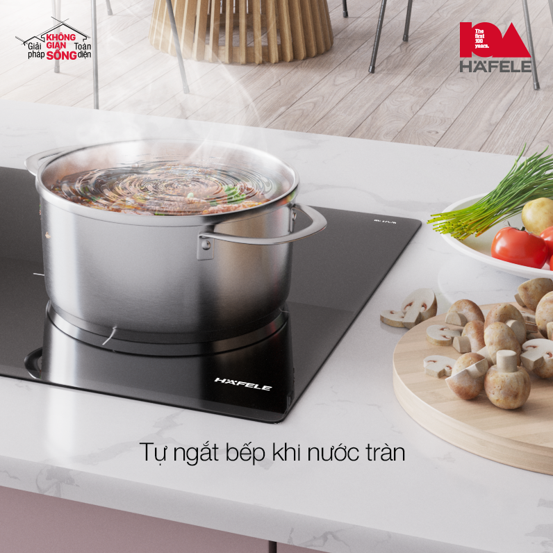 Câu hỏi thường gặp (FAQ) về Bếp từ Hafele