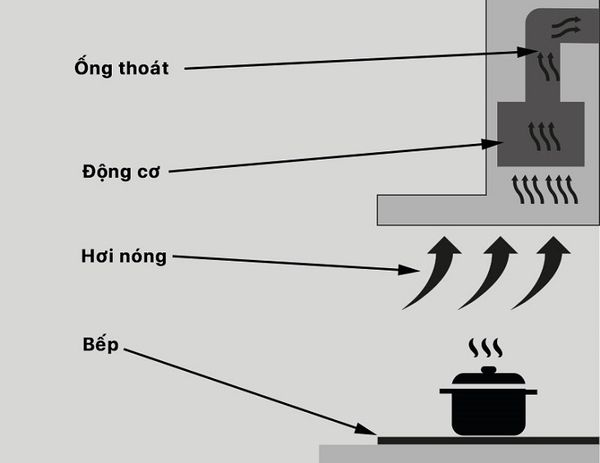 nguyên lý hoạt động
