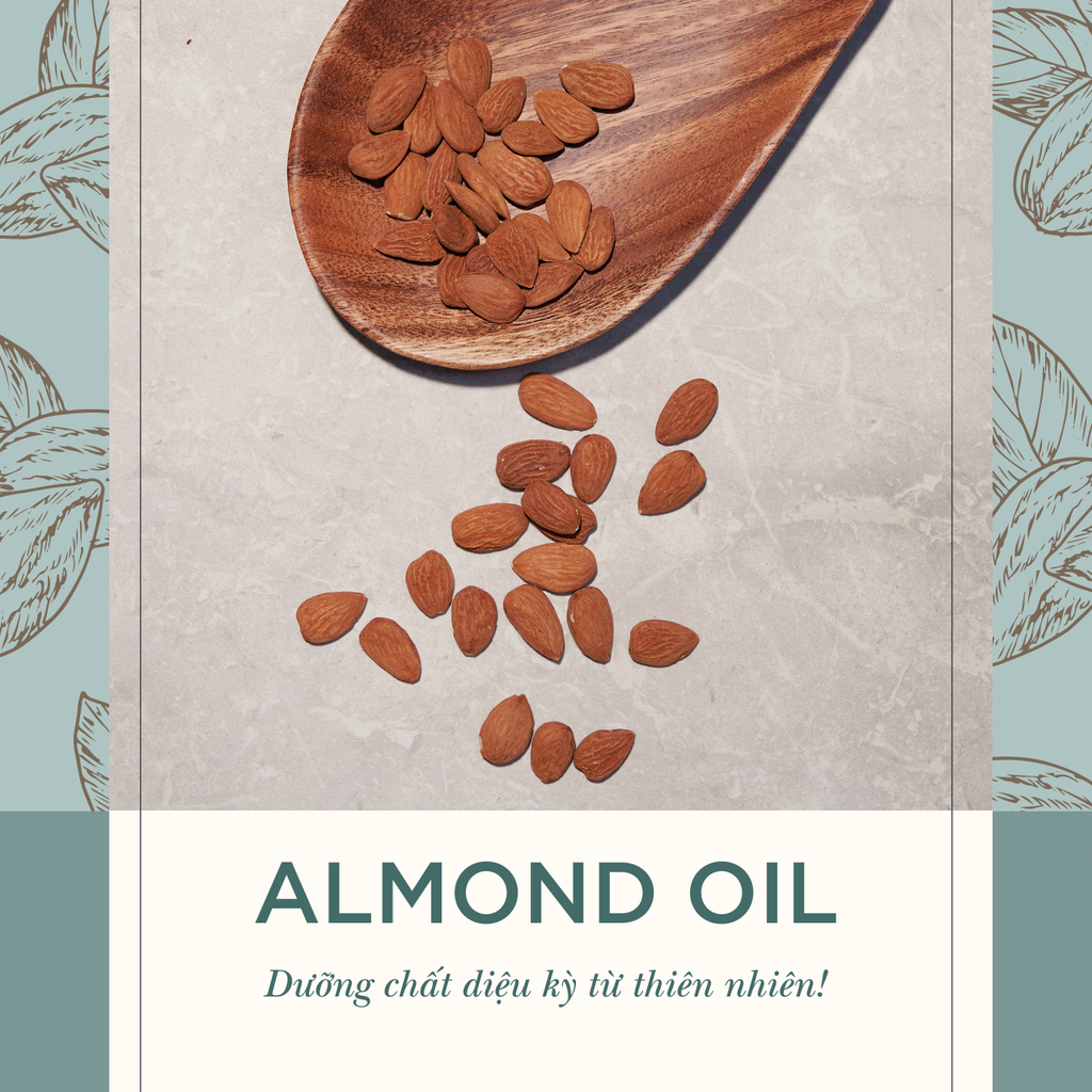 DẦU HẠNH NHÂN – ALMOND OIL DƯỠNG CHẤT DIỆU KỲ THIÊN NHIÊN BAN TẶNG